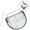 Bird Trap Green 19.7" Steel