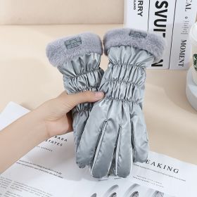 Warm Gloves Winter Women's Touch Screen Fleece-lined Thickened (Option: Fur Mouth Bear Gray)